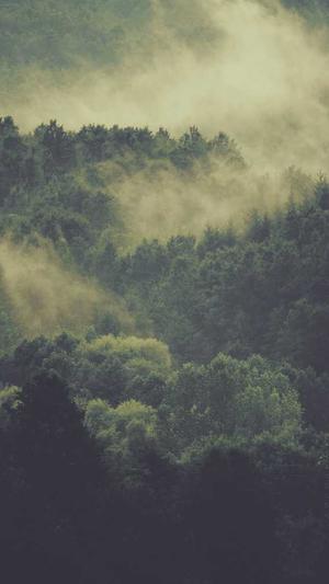 郑州泛目录截图1