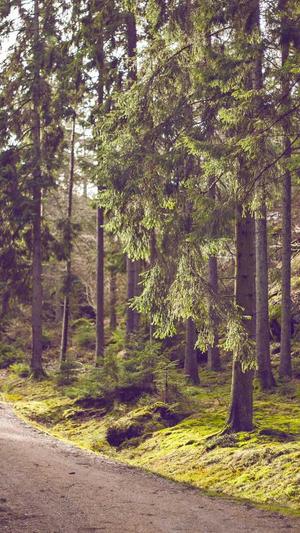 聚合泛目录3.0站群截图2