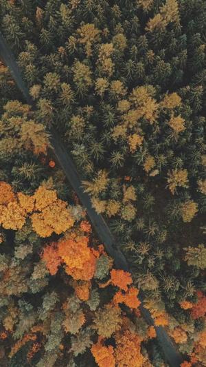 seo排名工具o排名截图2