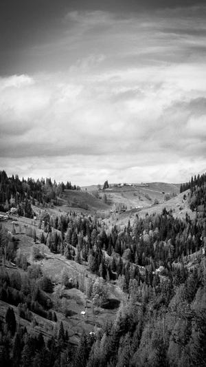 牛牛蜘蛛池截图5