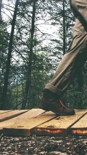 5G视频seo站长工具截图3