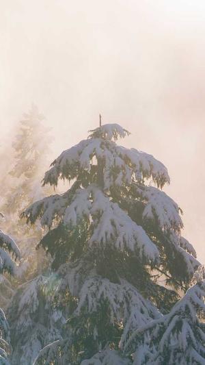 免费网站的建设截图2