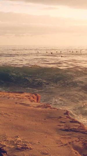 站长工具seo查询截图1