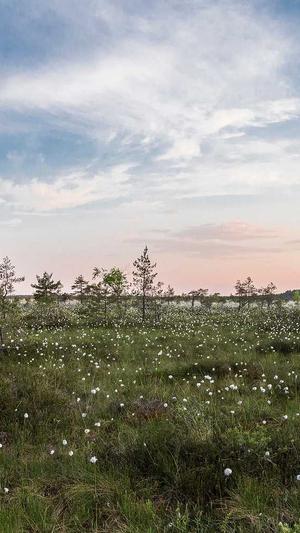 seo排名工具o排名截图1