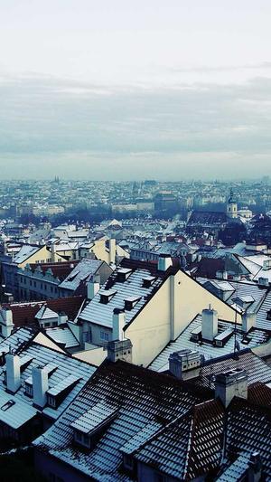 东莞关键词seo优化工具截图5