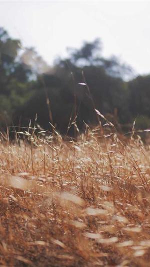 企业网站建设方案截图4