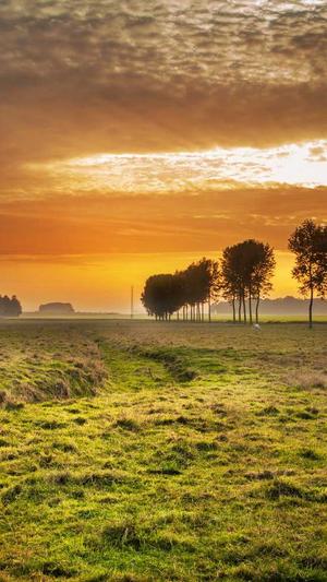 网站建设标准规范截图3
