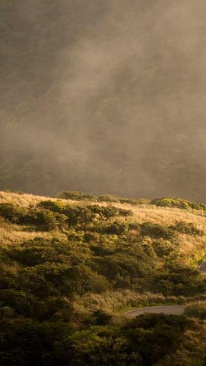 seo工具软件免费截图1