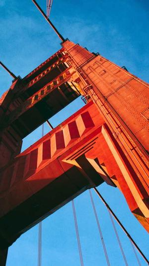 seo综合查询工具截图4