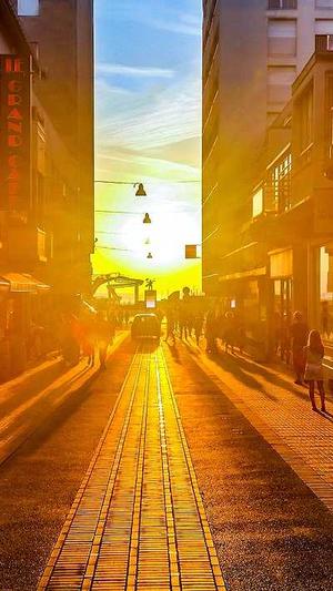 汕头seo优化工具截图1