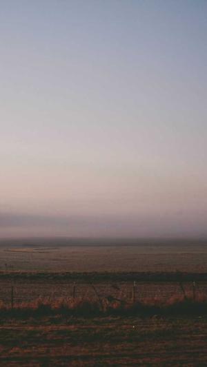 百万泛目录站群源码截图2