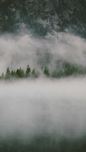 塘沽网站建设截图1