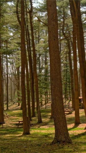 seo产品优化截图4