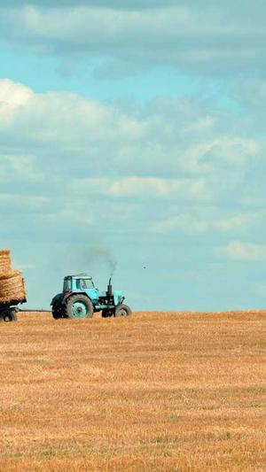 站长工具seo截图1