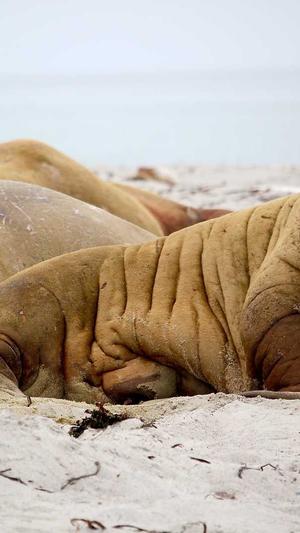 汉中网站建设截图3