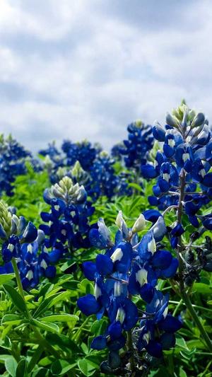 为什么要搭建蜘蛛池截图5