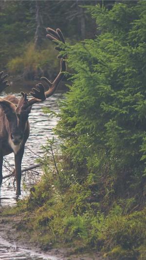 蜘蛛池手工制作步骤截图2