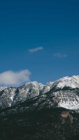 蜘蛛池吸引蜘蛛方法截图5