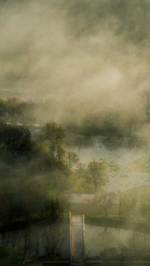 seo工具下载推广截图1