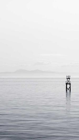 武汉 网站建设截图2