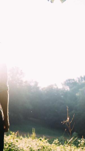 超能seo工具截图3