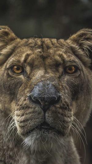 蜘蛛池搭建步骤视频截图1