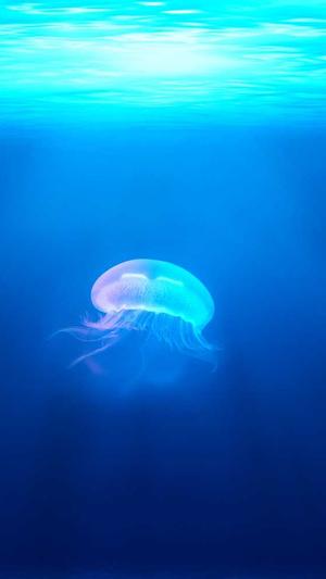 章丘网站建设截图5