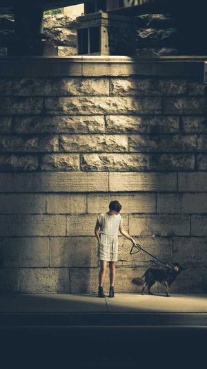 网站建设类截图3