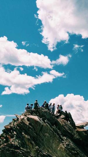 寄生虫程序蜘蛛池程序截图3