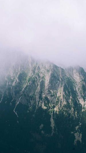 泛目录和泛解析截图5