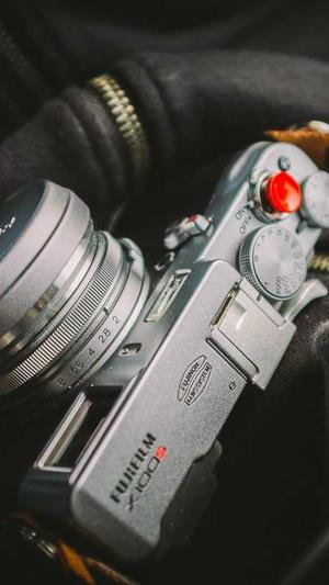 p2p蜘蛛池手机版截图3