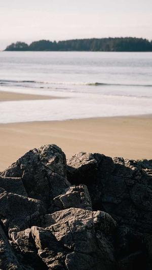 深圳公司seo优化截图5