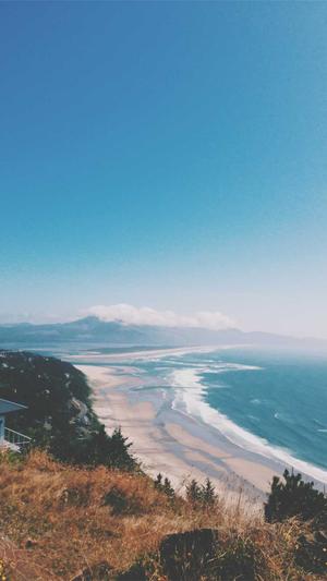 seo在线分析工具截图1