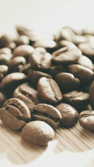 网站建设文章截图2