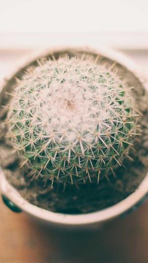 网站seo教程截图2