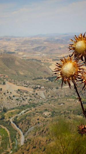 安宁网站建设截图2