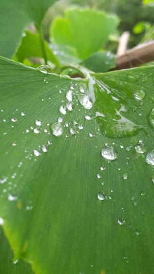 百度seo优化培训截图1