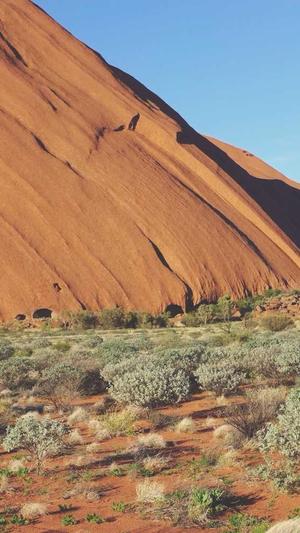 seo站长综合查询工具截图1