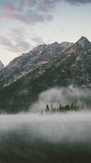 seo搜索优化公司截图1