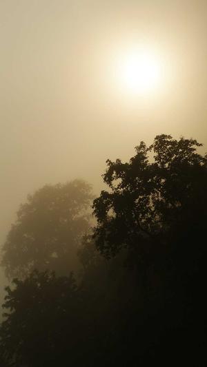 外包seo优化工具截图1