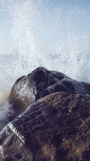 蜘蛛池租用选哪家截图4