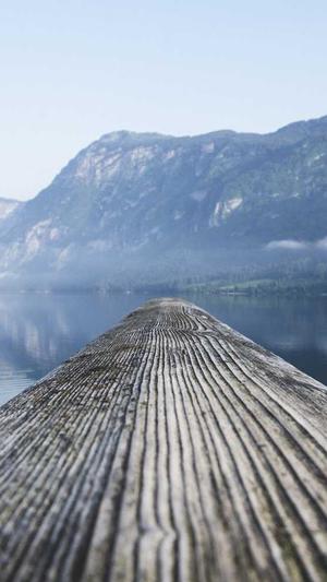 蜘蛛矿池怎么样截图1