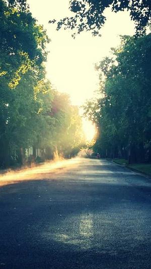 泛目录怎么做seo平台截图1