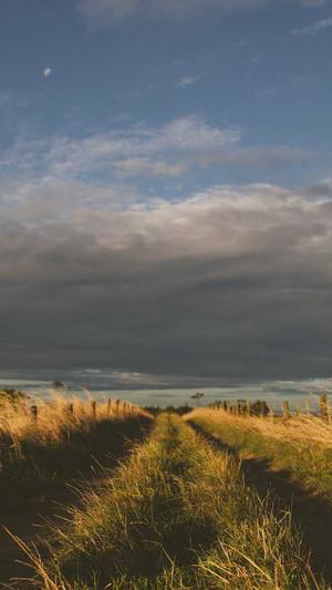 章丘网站建设截图1