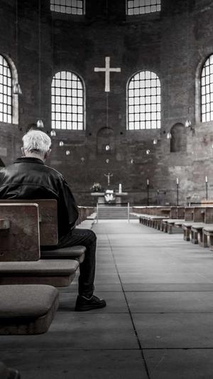 seoer 蜘蛛池截图5