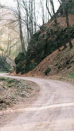 蜘蛛池 长尾词排名截图3