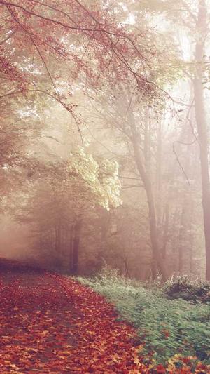 东莞网站建设公司截图3