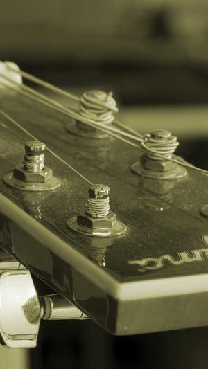 快速排名seo8截图4