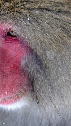 海口seo优化截图3