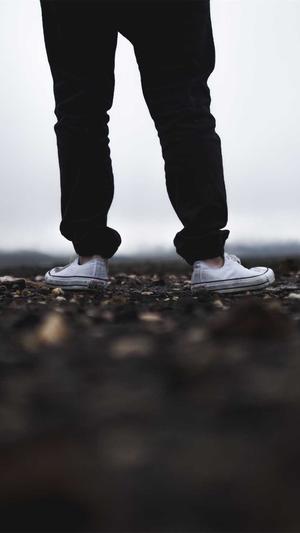 江西蜘蛛池出租哪个好截图4